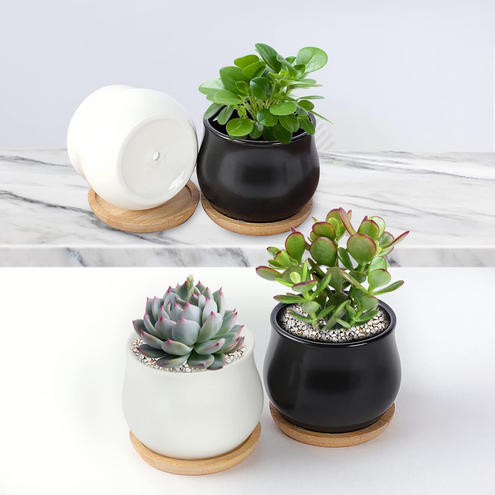 SHECIPIN pots featuring built-in drainage holes for healthy root growth.