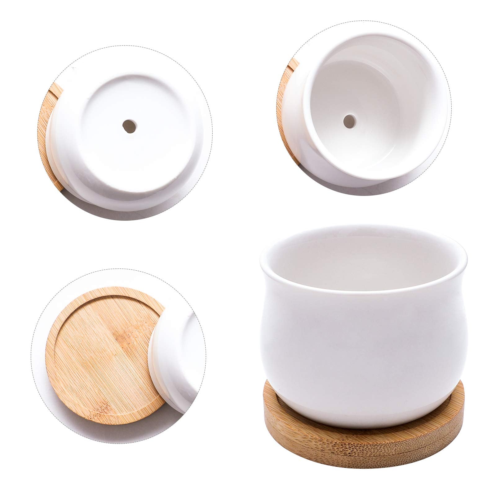 SHECIPIN eight-pack mini pots ready for gifting or display