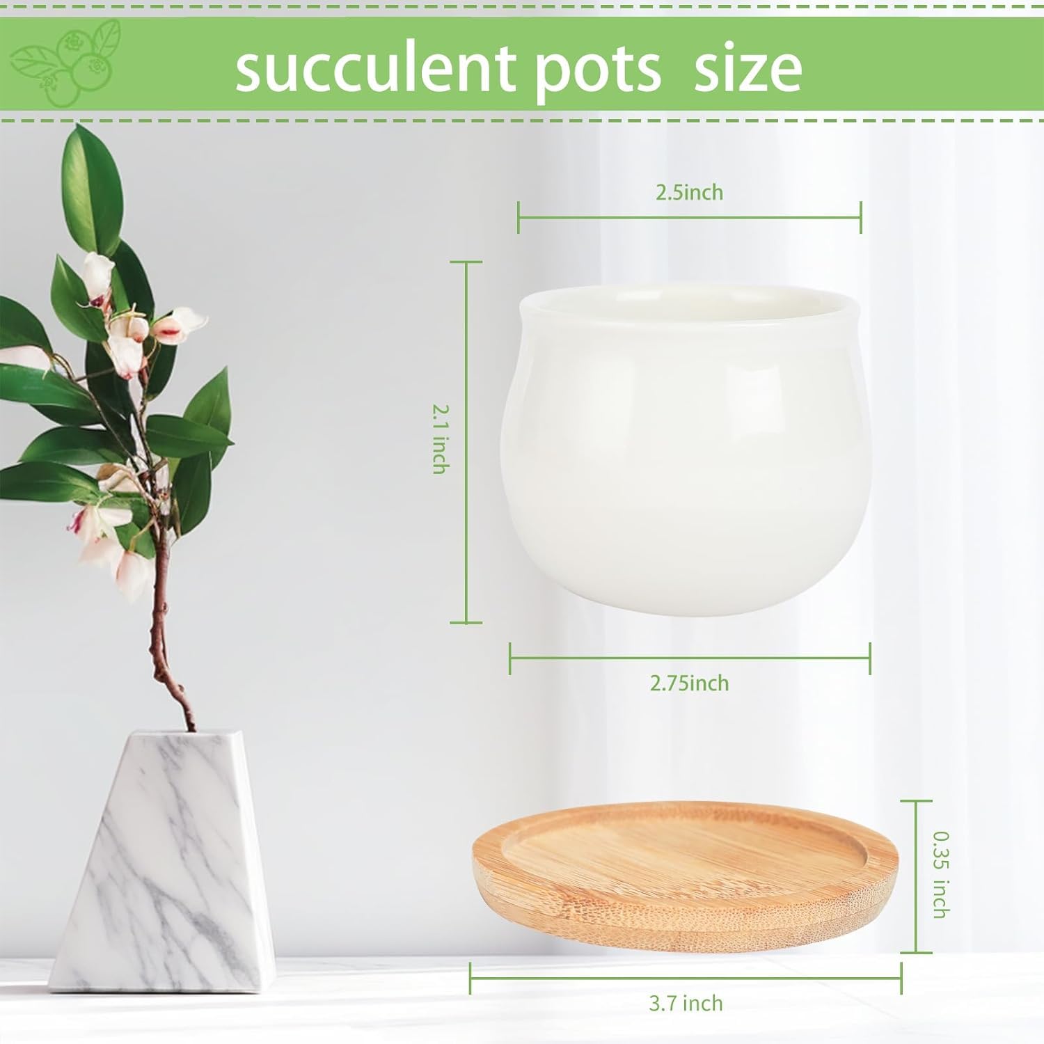 SHECIPIN bamboo tray included; contains overflow for tidy surfaces.