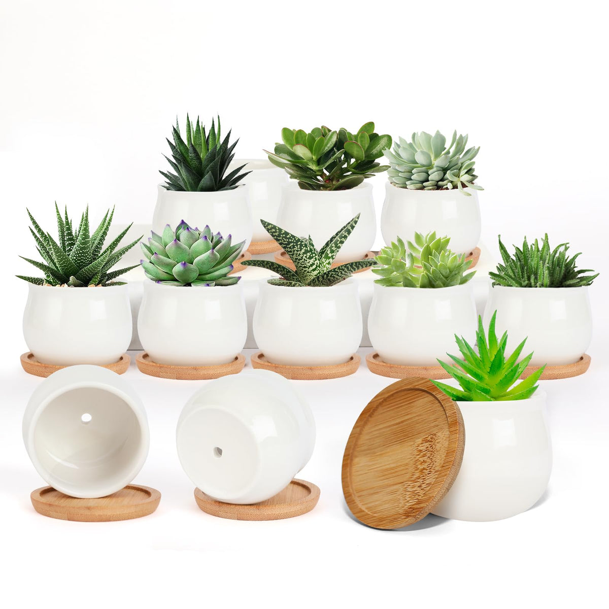 SHECIPIN matte white ceramic succulent pot with drainage promotes healthy root growth.
