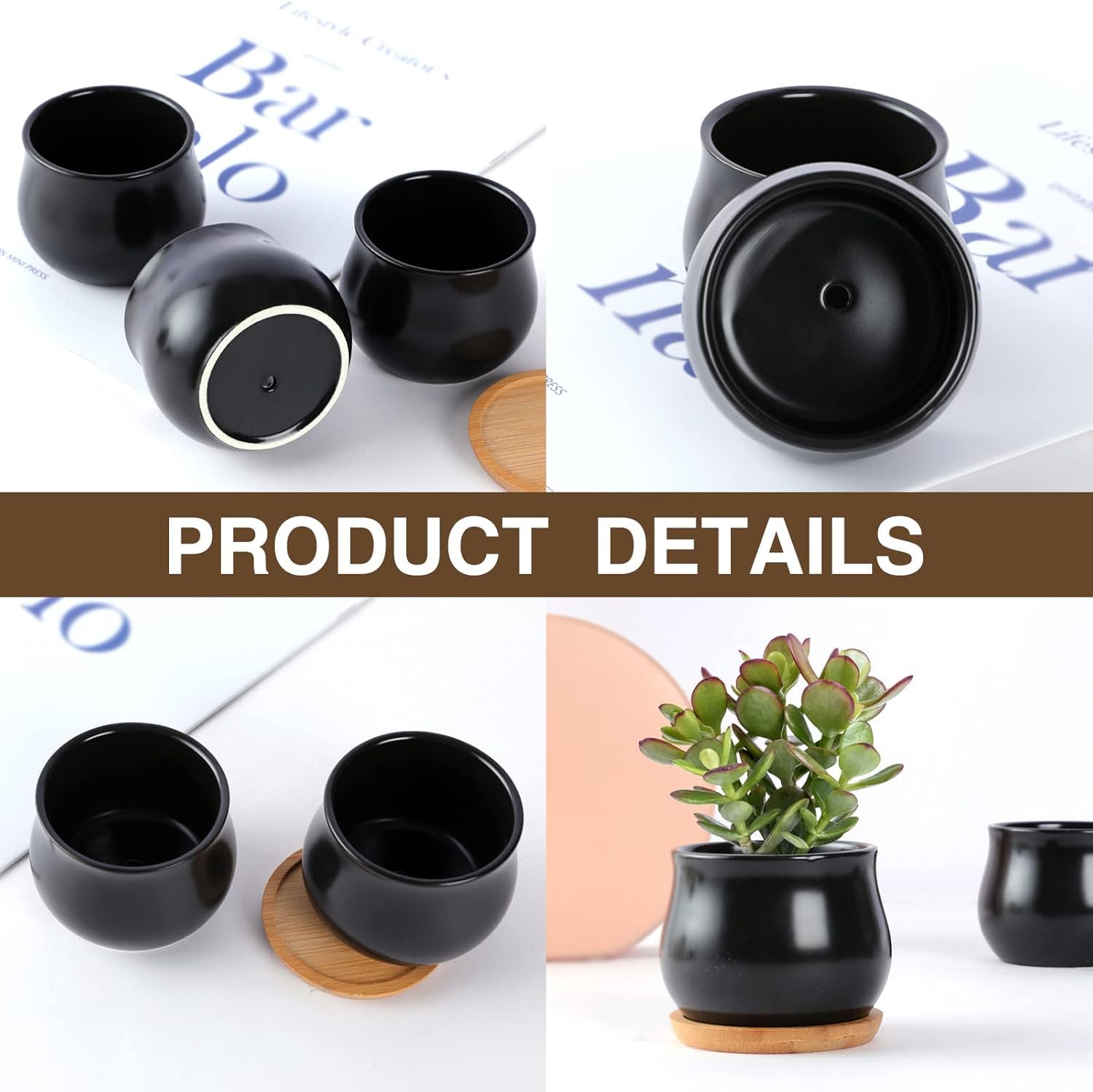 SHECIPIN two-pack shown on a desk with tiny succulents.