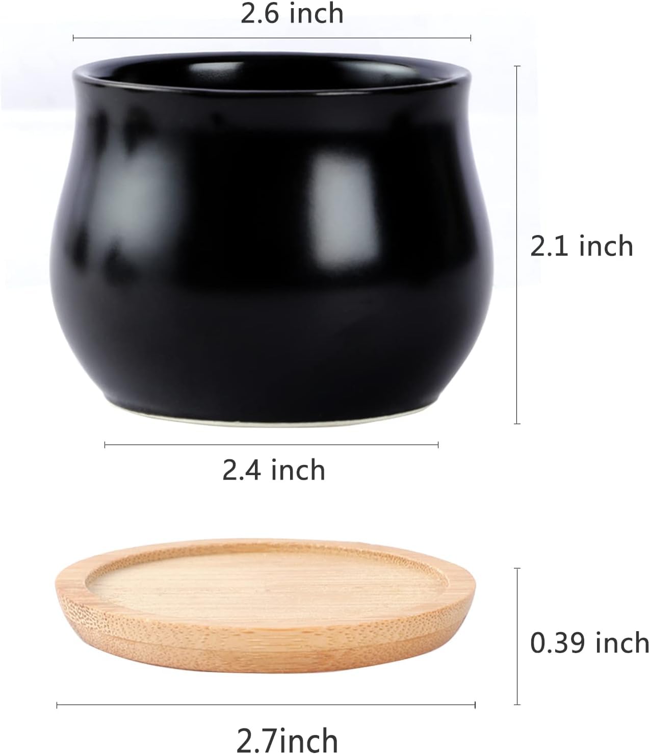 SHECIPIN black 2.5-inch pots with drainage holes to prevent overwatering.