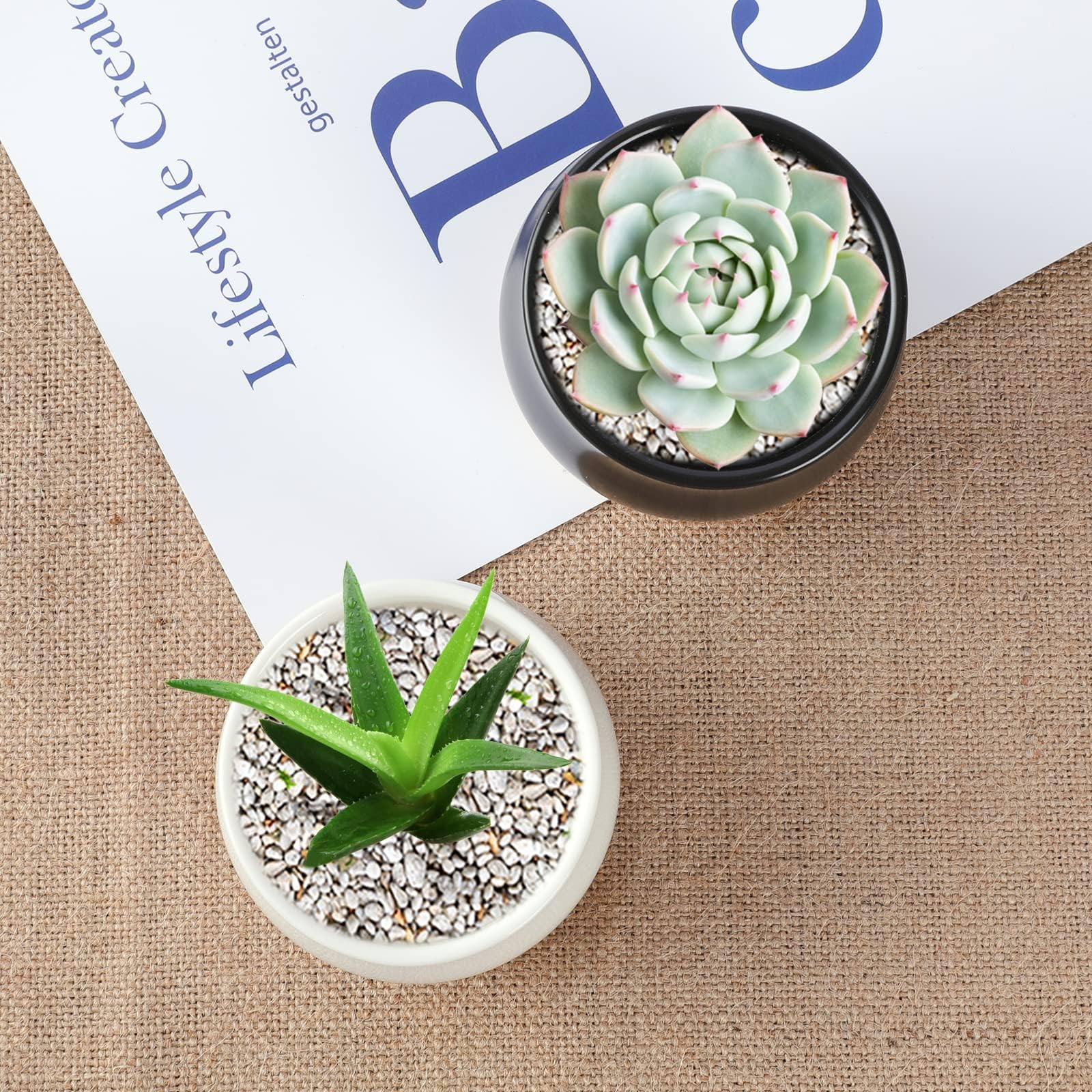 SHECIPIN compact pots fit windowsill or desk spaces.