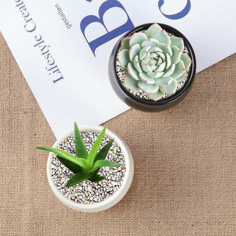 SHECIPIN compact pots fit windowsill or desk spaces.