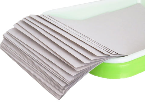 SHEING seed paper sheets ready for germination; ideal for sprouts.