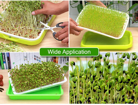 SHEING Seed Sprouter Tray inner mesh close-up highlighting aeration and easy removal.