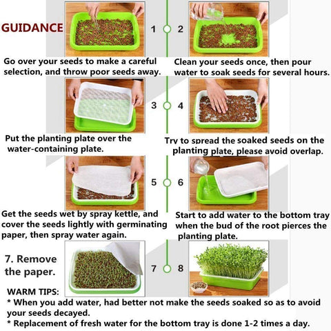 SHEING Seed Sprouter Tray ready-for-use setup for quick kitchen sprouts.