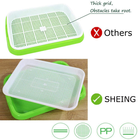 SHEING Seed Sprouter Tray side angle demonstrating compact countertop size.
