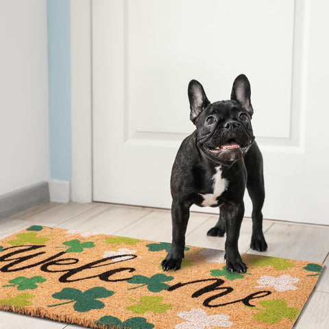 Shemilly shamrock decor adds festive charm to porch or doorway.