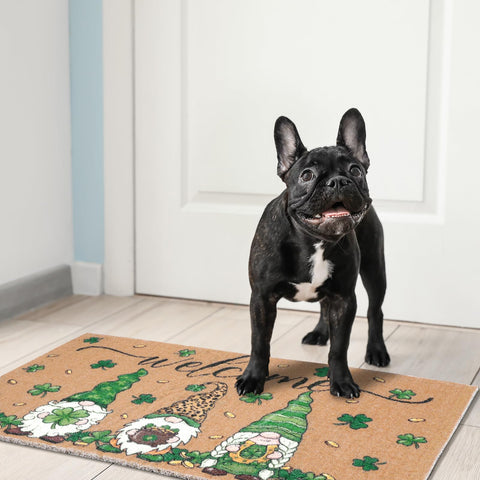 Shemilly shamrock gnomes design adds festive charm to entrances