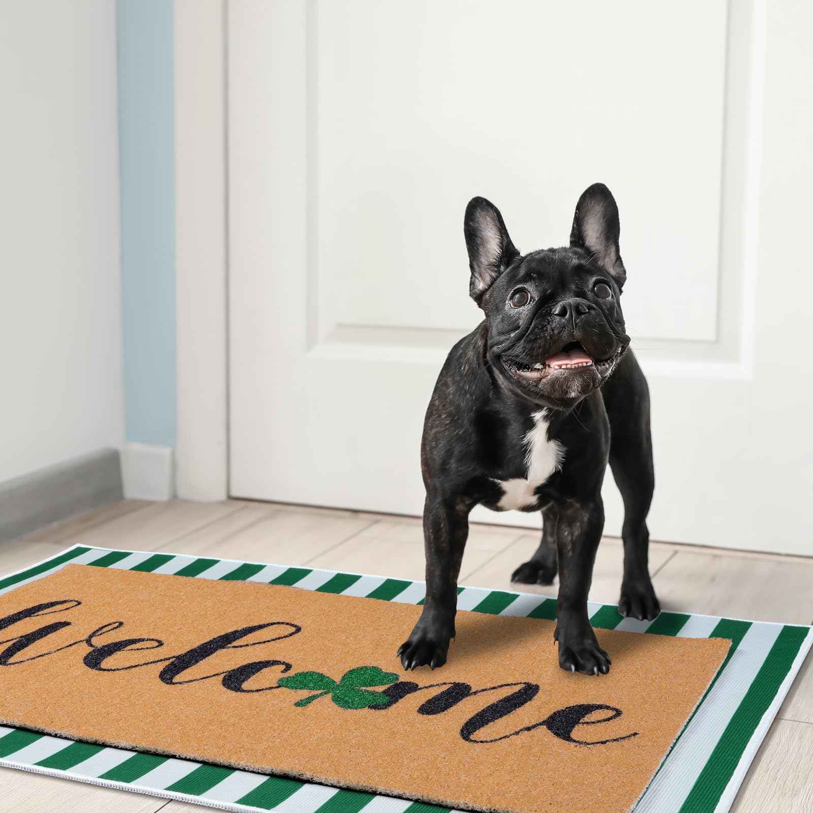 Shemilly easy to clean doormat—shake or vacuum to remove dirt.