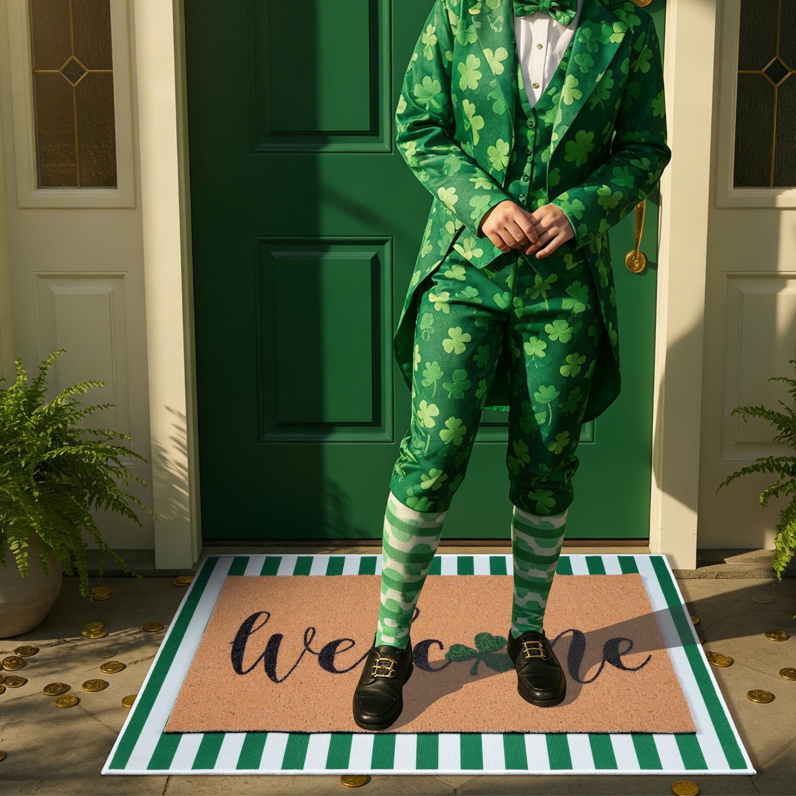 Shemilly 16.5x28.7 inch shamrock mat for compact entryways.