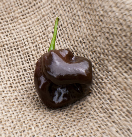 Sherwoods Seeds Chocolate Scotch Bonnet ripe peppers brighten recipes.