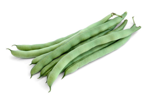 Sherwoods Seeds Fortex vining green bean pods on a trellis, ideal for early harvest.
