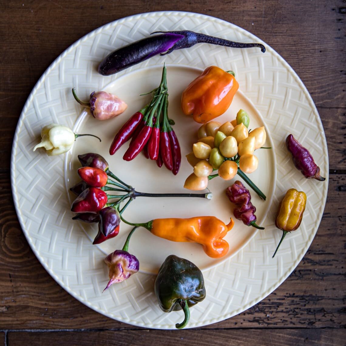Sherwoods Seeds garden-ready purple peach peppers adorning your plot with flavorful, ultra-hot potential.