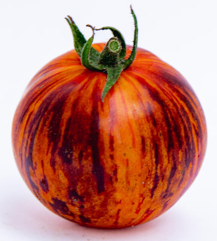 Sherwoods Seeds Queen of the Night ripening fruit on the vine with color