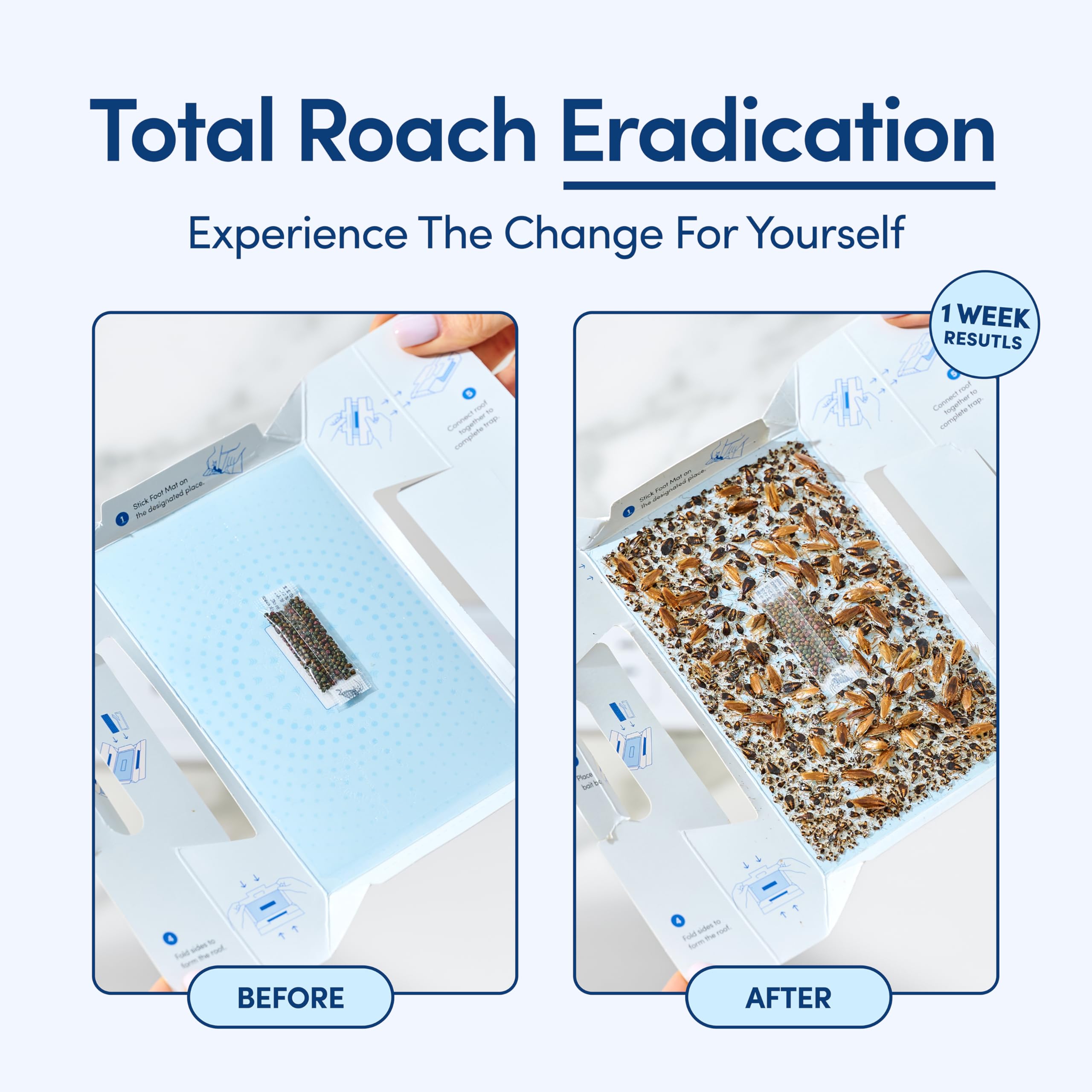 Shieldeck Roach Traps behind toilet location for quick, clean pest catching