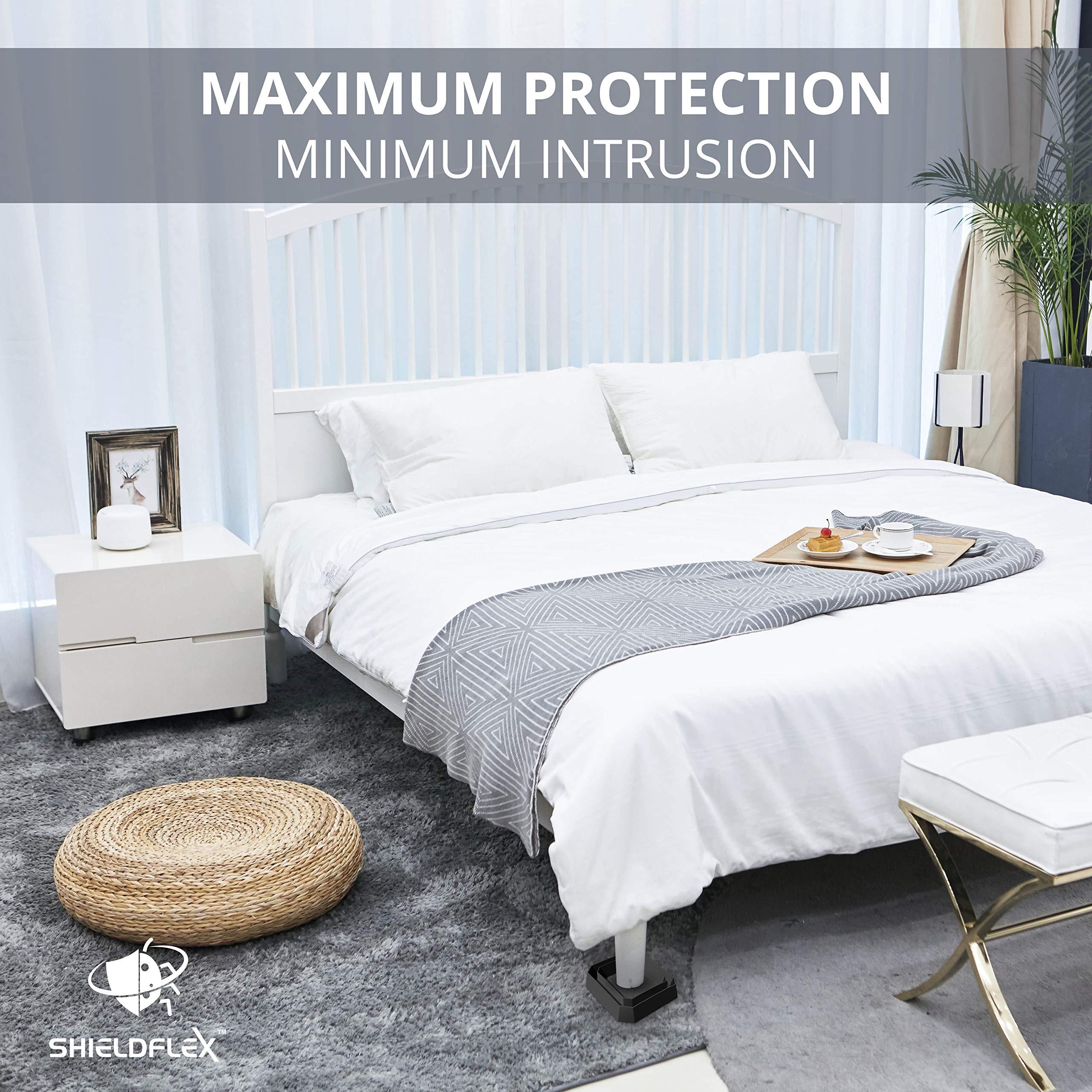 TruGuard X trap in a hotel room illustrates professional-grade protection.