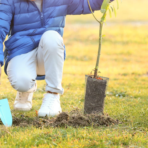 Shimeyao gopher basket in use demonstrates robust root protection