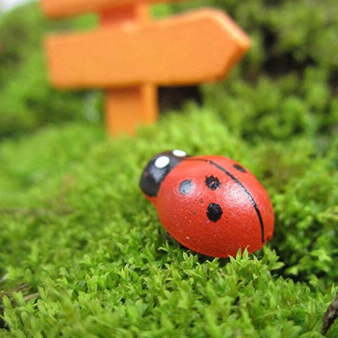 Shindel wooden ladybugs decorate photo frames and laptops securely.