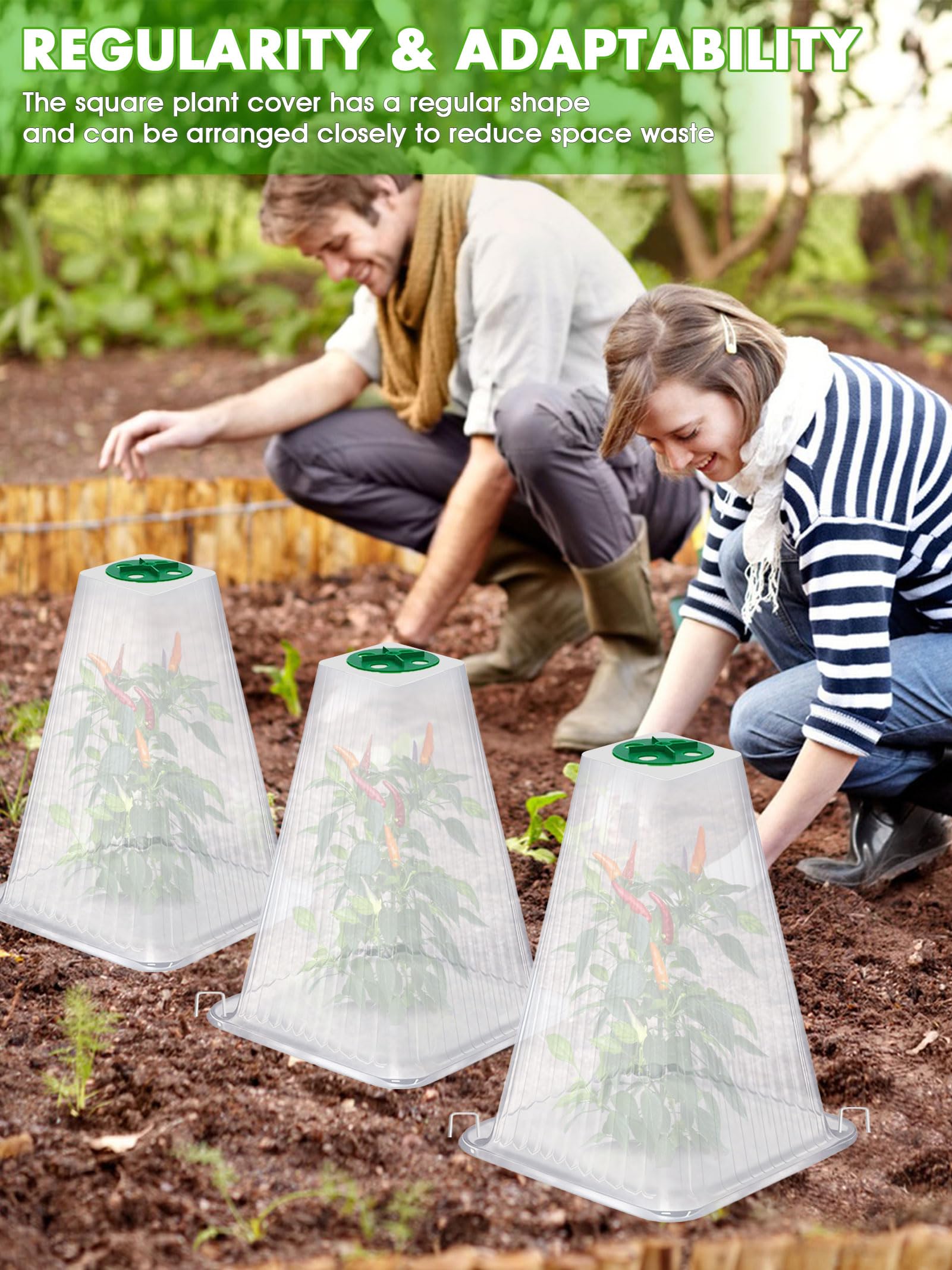 ShineSirius durable stakes support stable cloche setup