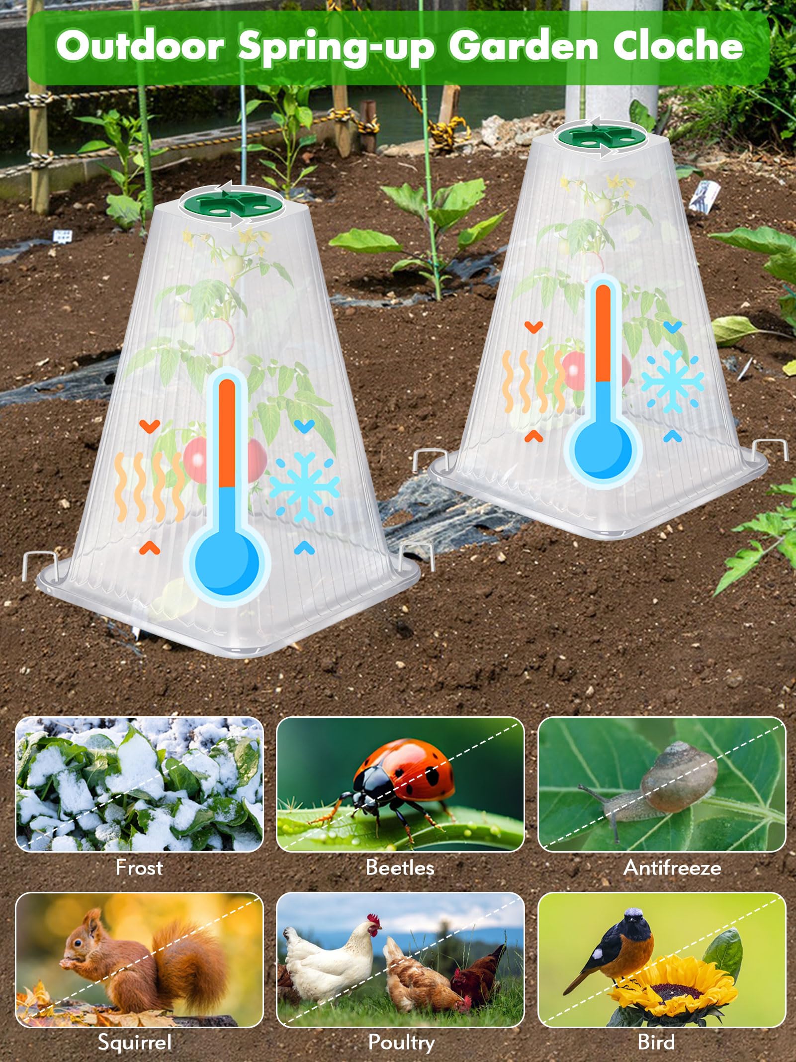 ShineSirius easy-install ground stakes for secure cloche placement