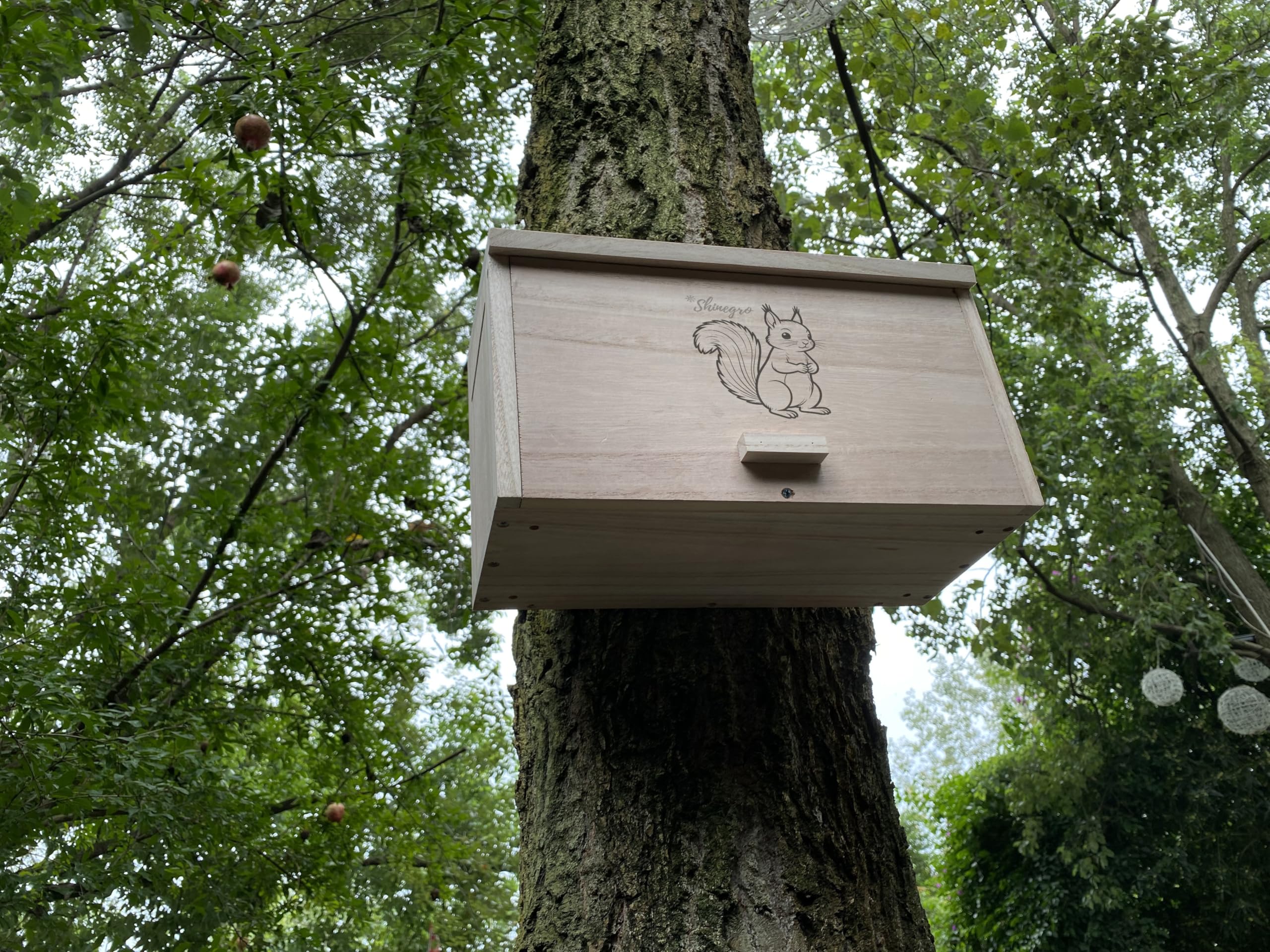 Shinegro Pine Wood Squirrel House dimension image shows generous space.