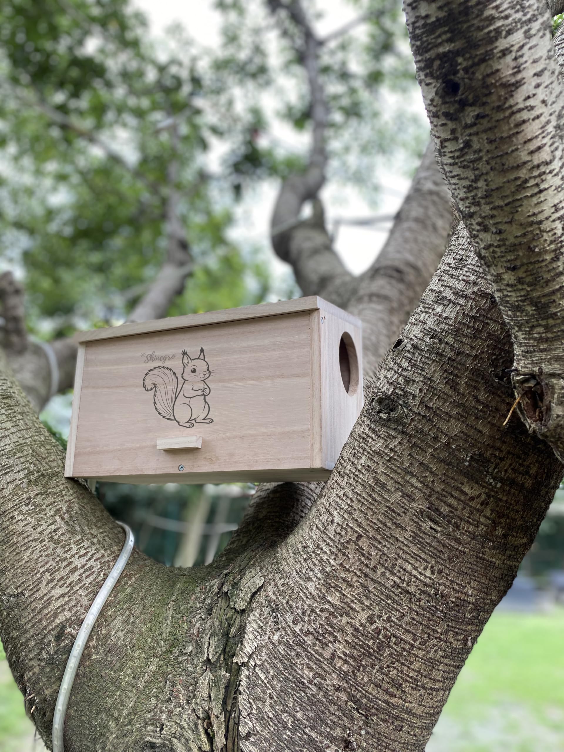 Shinegro Pine Wood Squirrel House hanging setup demonstrates elevated placement.