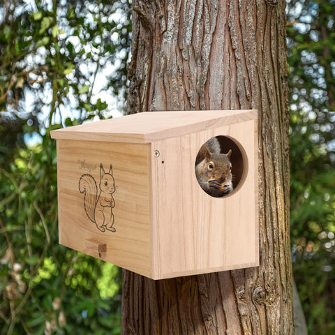Shinegro Pine Wood Squirrel House mounting panel allows easy installation.