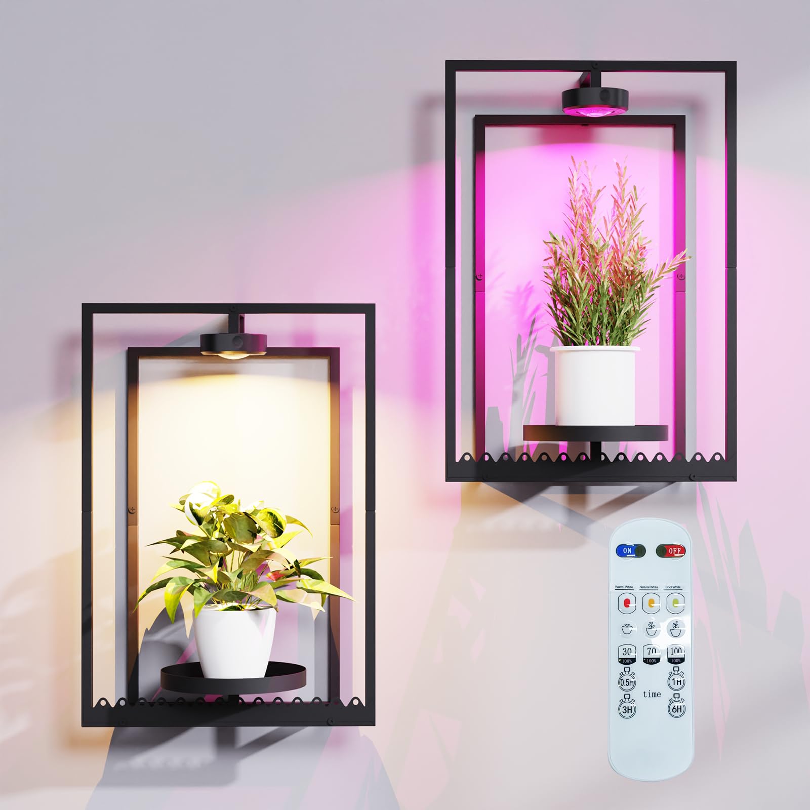 Shineled Wall Plant Holder frame showcases framed greenery with built-in light for year-round indoor decor