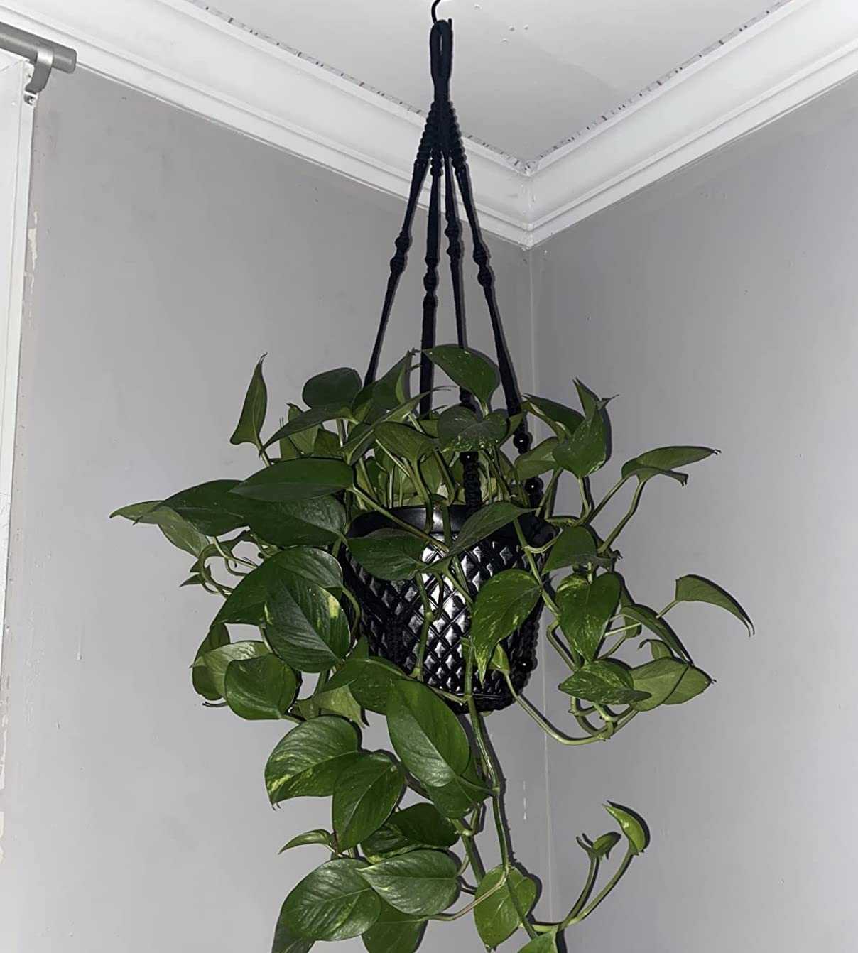 Shineloha hanger supports 12-inch pots up to 15 lbs.