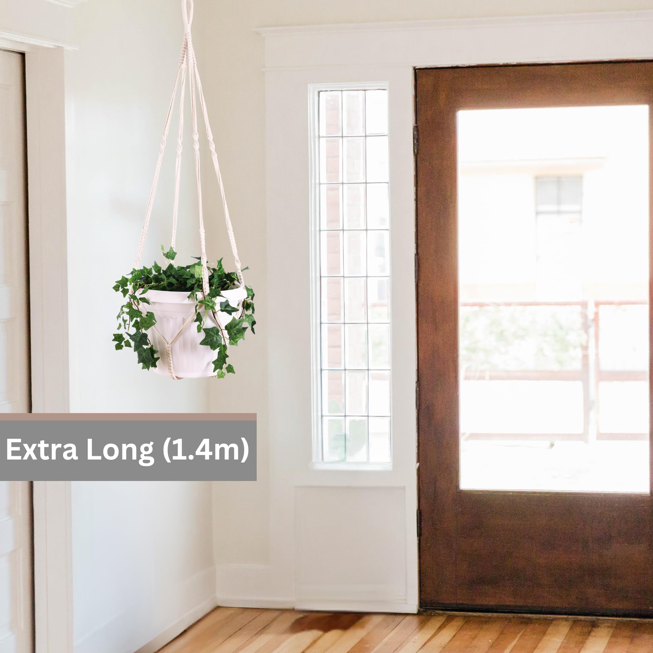 Shineloha gift-ready planter hanger for plant lovers seeking stylish decor.