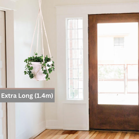 Shineloha gift-ready planter hanger for plant lovers seeking stylish decor.