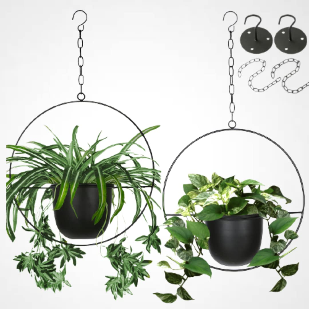 Shineloha hanging planter with 5.5-inch pot for stylish indoor greenery