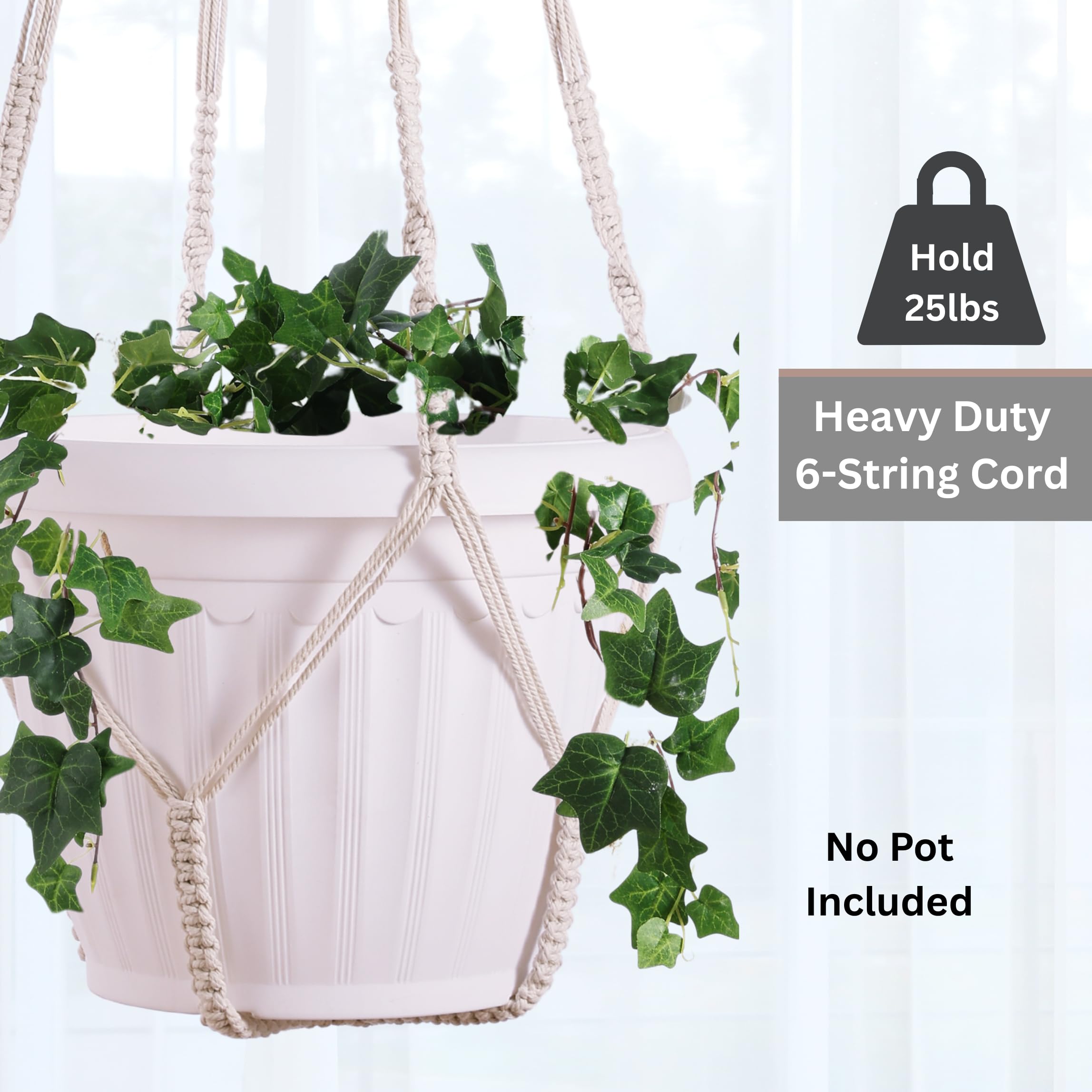 Shineloha hanging planter display enhances living rooms, windows, and offices.