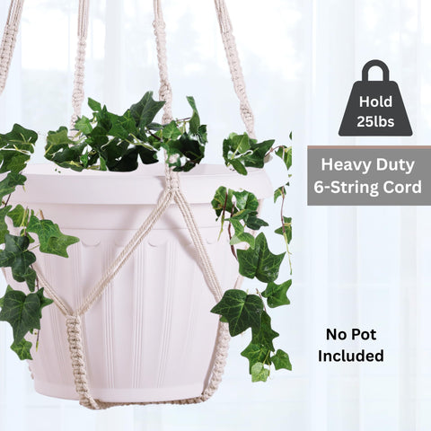 Shineloha hanging planter display enhances living rooms, windows, and offices.