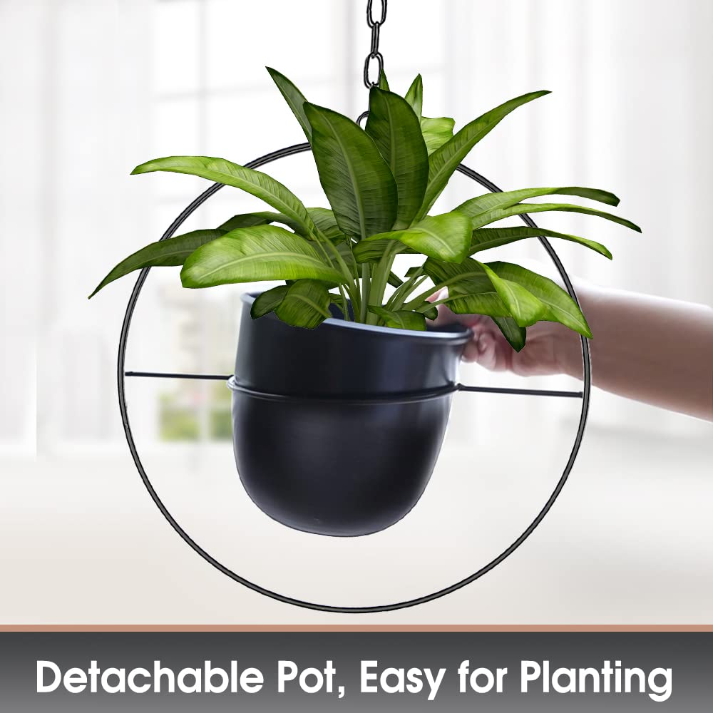 Shineloha indoor plant display on wall or ceiling corner