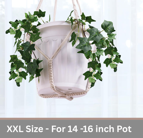 Shineloha six-string macrame weave adds textured depth to plant displays.