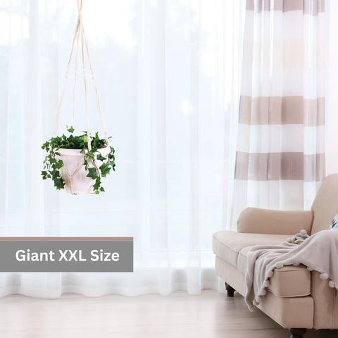 Shineloha swag hook included, enabling secure wall mounting for large planters.