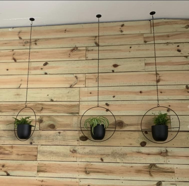 Two pack Shineloha hanging planters for versatile decor ideas