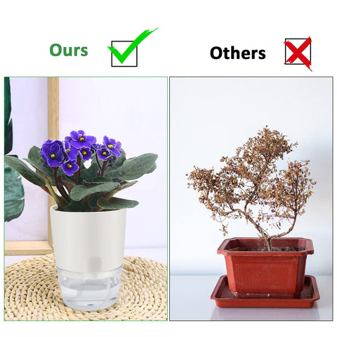 ShineMe pots suitable for indoor and outdoor use on windowsills or shelves.