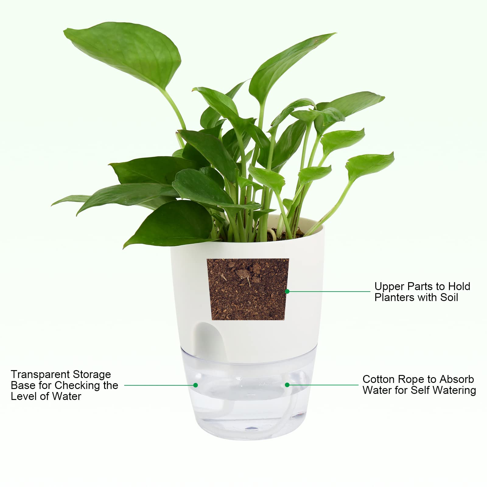 ShineMe pots use cotton rope wick for simple watering between refills.