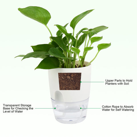 ShineMe pots use cotton rope wick for simple watering between refills.