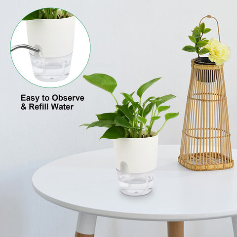 Crystal-base ShineMe pots clearly display water level for quick checks.