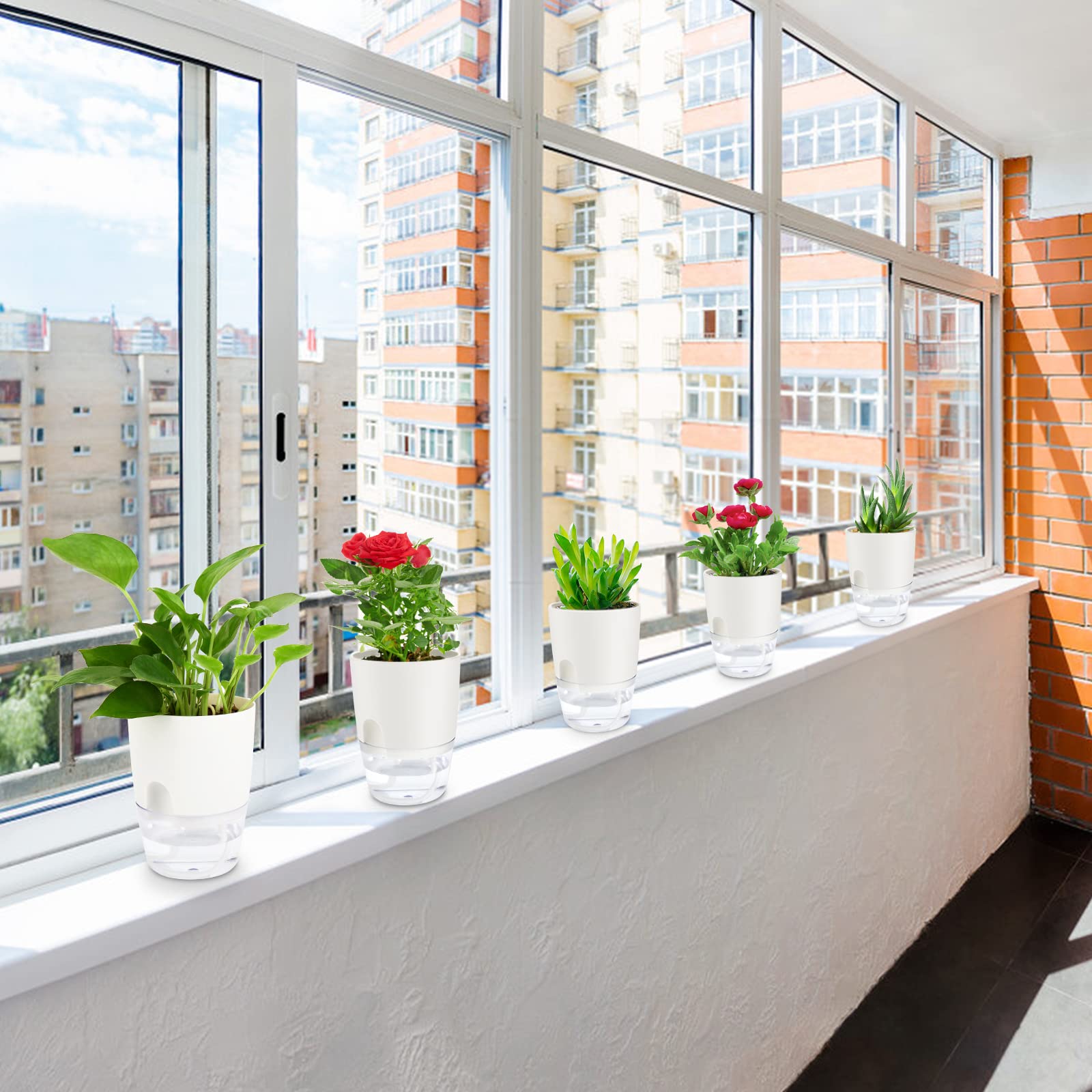 Five-pack ShineMe kit helps create a cohesive small indoor garden.