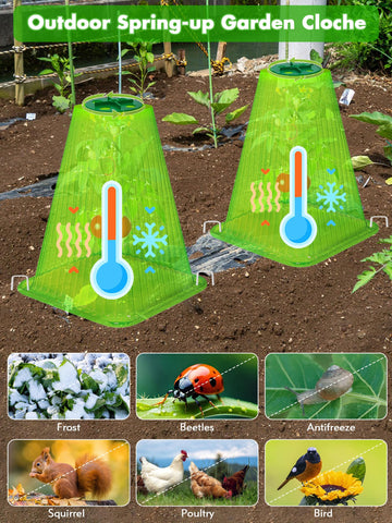 ShineSirius plant covers guard against snails and birds.