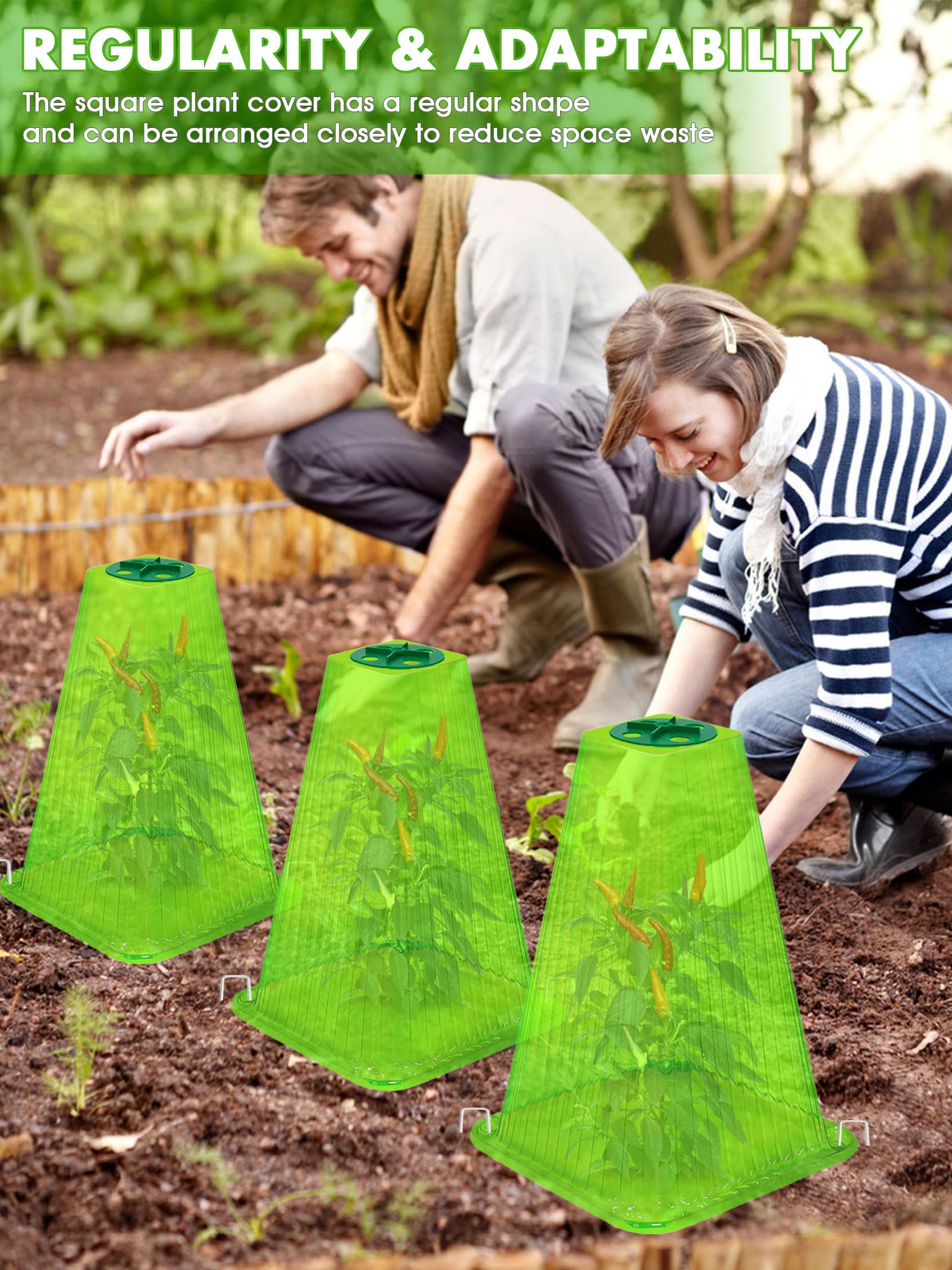 ShineSirius mini-greenhouse ventilation supports healthy seedlings.