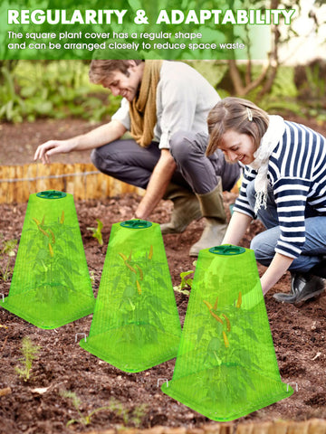 ShineSirius mini-greenhouse ventilation supports healthy seedlings.