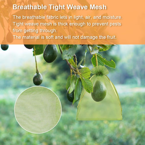 Shintop breathable organza design promotes airflow and easy observation.