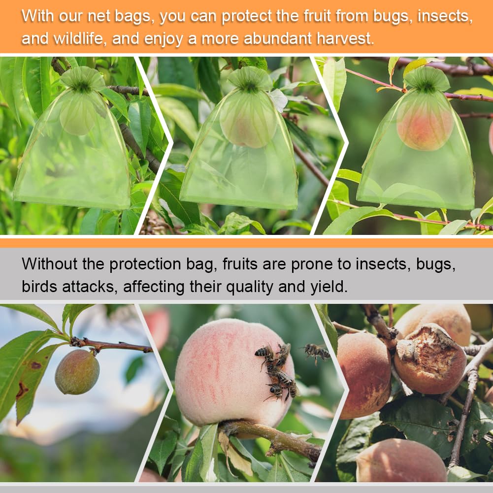 Shintop drawstring closure keeps the bags securely around growing fruit.